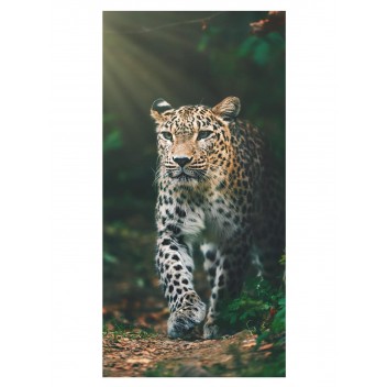 Ręcznik bawełniany 70x140 Pantera 