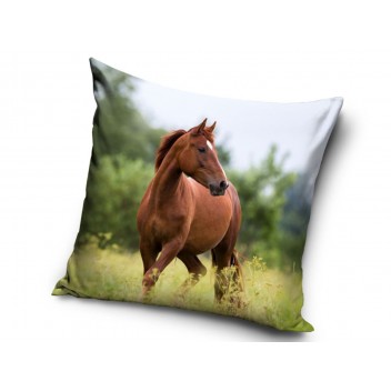 Poduszka mikrofibra 40x40 Koń brown 