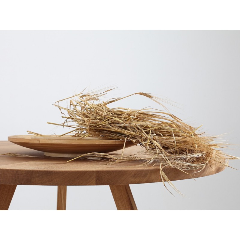 Stół jadalniany TREBEN 120