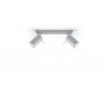 Plafon RING 2 Szary